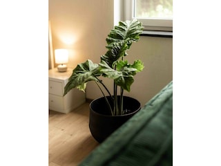 Apartment Grassau Ausstattung 12