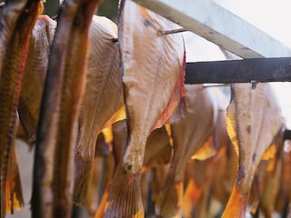 Holiday apartment Klütz Environment 16