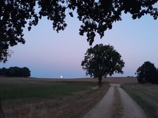 Wanderweg direkt vom Hof