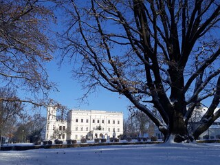 Schloss Krobnitz mit 300- jähriger KletterEiche