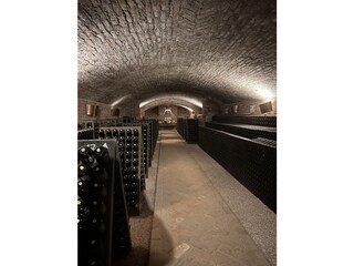 Villa Calamandrana Environment 20