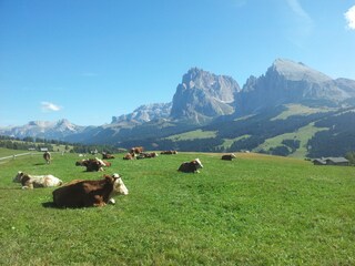 Appartamento per vacanze St. Ulrich in Gröden Ambiente 26