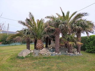 Ferienhaus Cléder Außenaufnahme 6