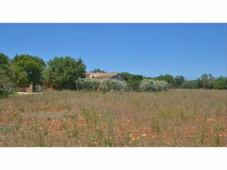 Casa de vacaciones Vilafranca de Bonany Grabación al aire libre 24