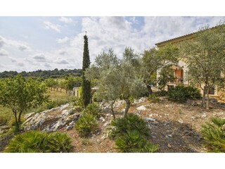 Type de propriété : Chalet Selva Enregistrement extérieur 10