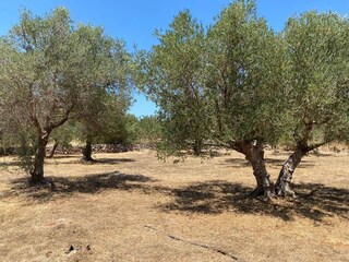 Villa Kefalas Buitenaudio-opname 10