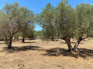 Villa Kefalas Outdoor Recording 11
