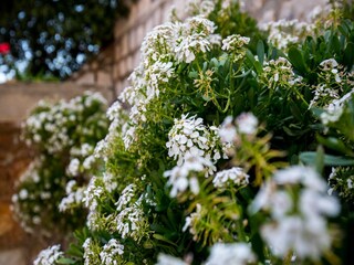 Apartamento Dubrovnik  21