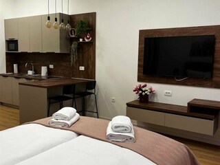 Apartamento Samobor Características 3