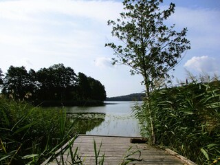 Parco vacanze Kołczewo Ambiente 19