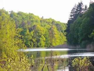 Parc de vacances Kołczewo Environnement 24