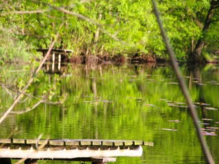 Parco vacanze Kołczewo Ambiente 22