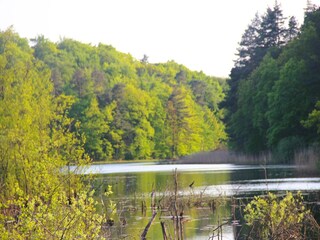 Parc de vacances Kołczewo Environnement 23