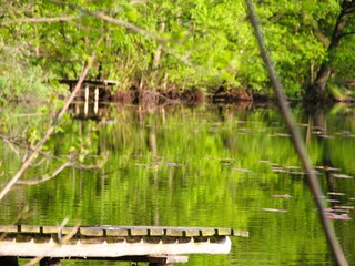 Parc de vacances Kołczewo Environnement 24