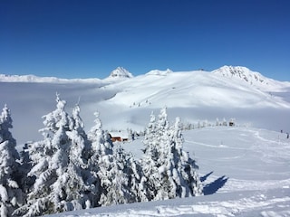 Apartment Mittersill Environment 15