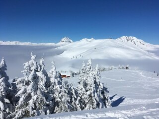 Appartamento Mittersill Ambiente 15