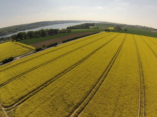 Lage am Feldrand zum See