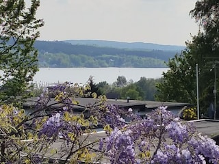 Blick vom Balkon auf den See