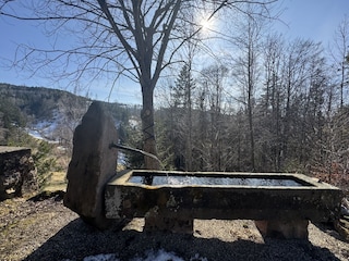 eigener Trinkwasserbrunnen