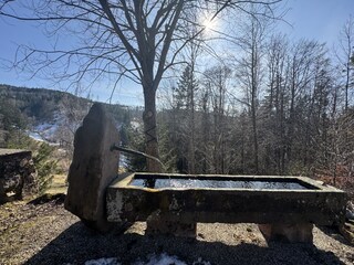 Holiday house Furtwangen Outdoor Recording 6