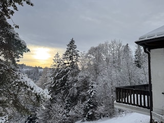 einzigartig im Winter