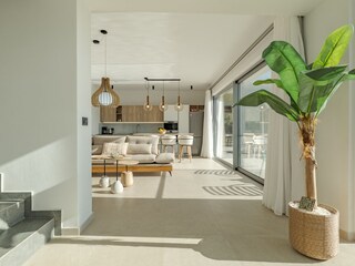 Entrance and living room