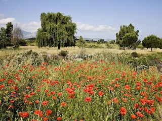 Spring landscape near the Fiume Seccu River.