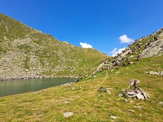 Mountain lake