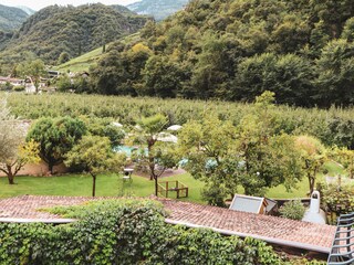 Der Pool mit großem Garten