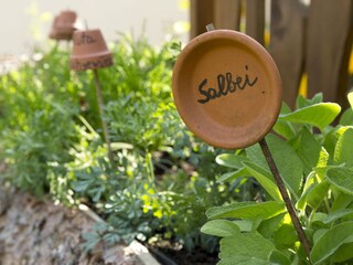 Kräutergarten für unsere Gäste