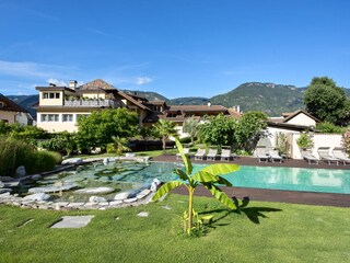 Naturpool Garten Hausansicht