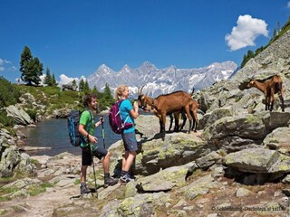 Parque de vacaciones Schladming Entorno 19