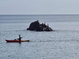 Appartement Calella de Palafrugell Environnement 40