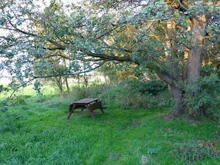 Sitzgruppe im Naturgarten