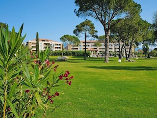 Parco vacanze Porto Vecchio Registrazione all'aperto 10