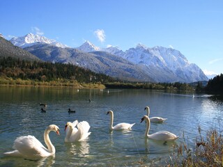 Ferienwohnung Wallgau Umgebung 28