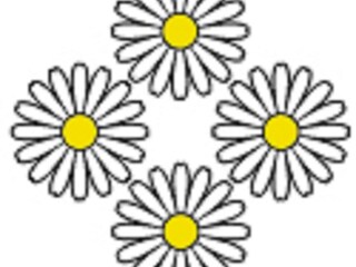 4 Blumen Kategorisierung