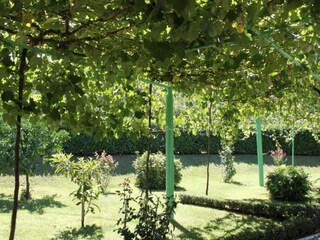 Apartment Čapljina Außenaufnahme 1