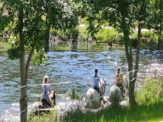 Apartamento Großharthau  18