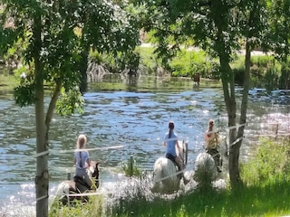 Appartement Großharthau  12