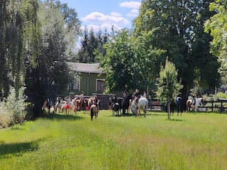 Apartment Großharthau  14