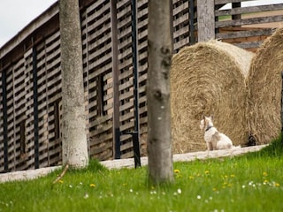 Apartment Großharthau  18