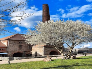 Appartamento Großharthau  25