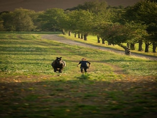 Apartment Großharthau  21