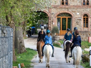 Apartment Großharthau  23