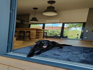 Apartamento Großharthau  5