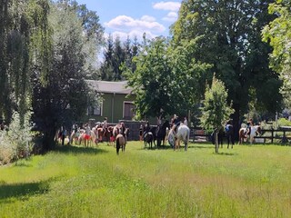 Appartamento Großharthau  7