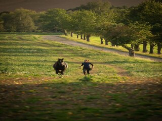 Apartamento Großharthau  8