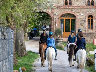 Apartment Großharthau  9