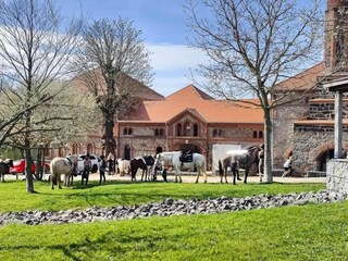 Appartamento Großharthau  10